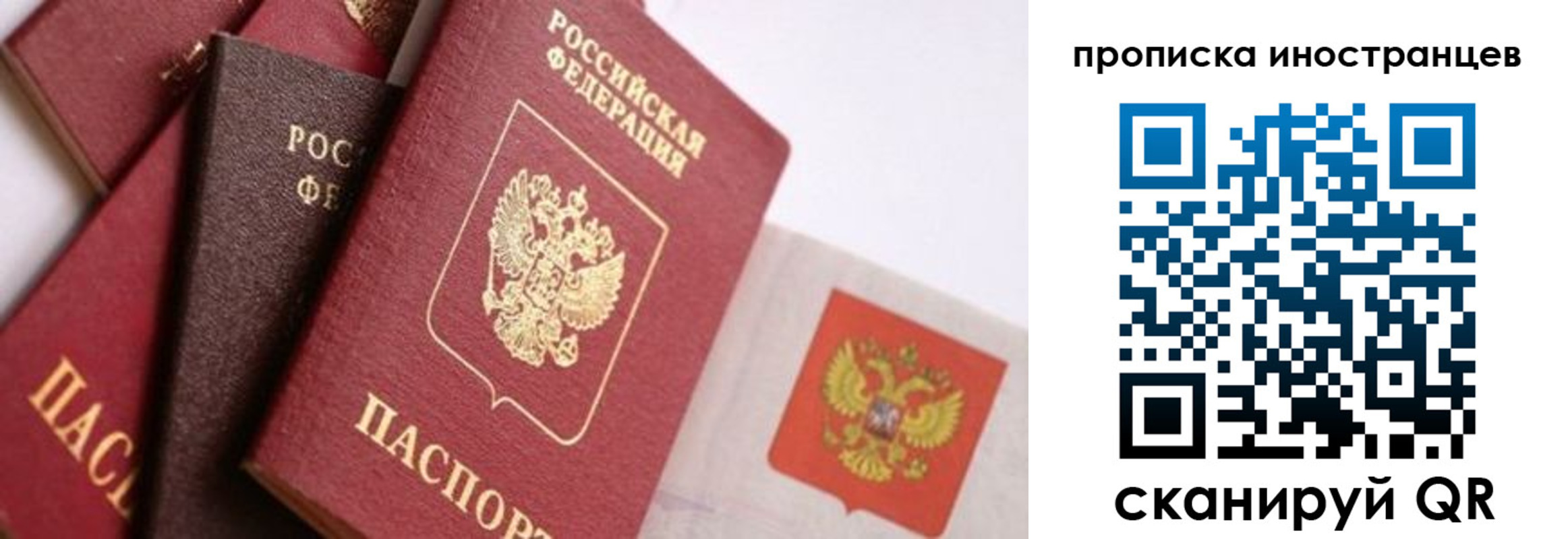 регистрация для школы в Струнино